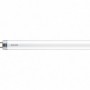 LED T8 1500MM 20W G13 CDL ND 1CT/4